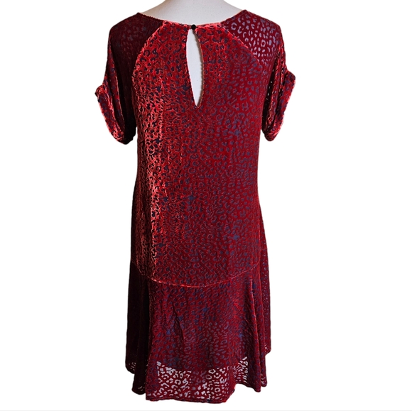 Johnny Was Jade Red Burnout Velvet Mini Dress Size XS Animal Print Silk Blend - Picture 7 of 16
